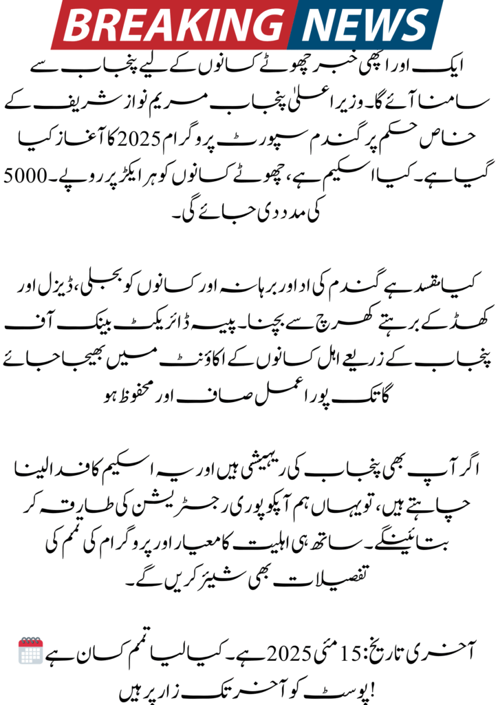 CM Punjab Wheat Support Program 2025