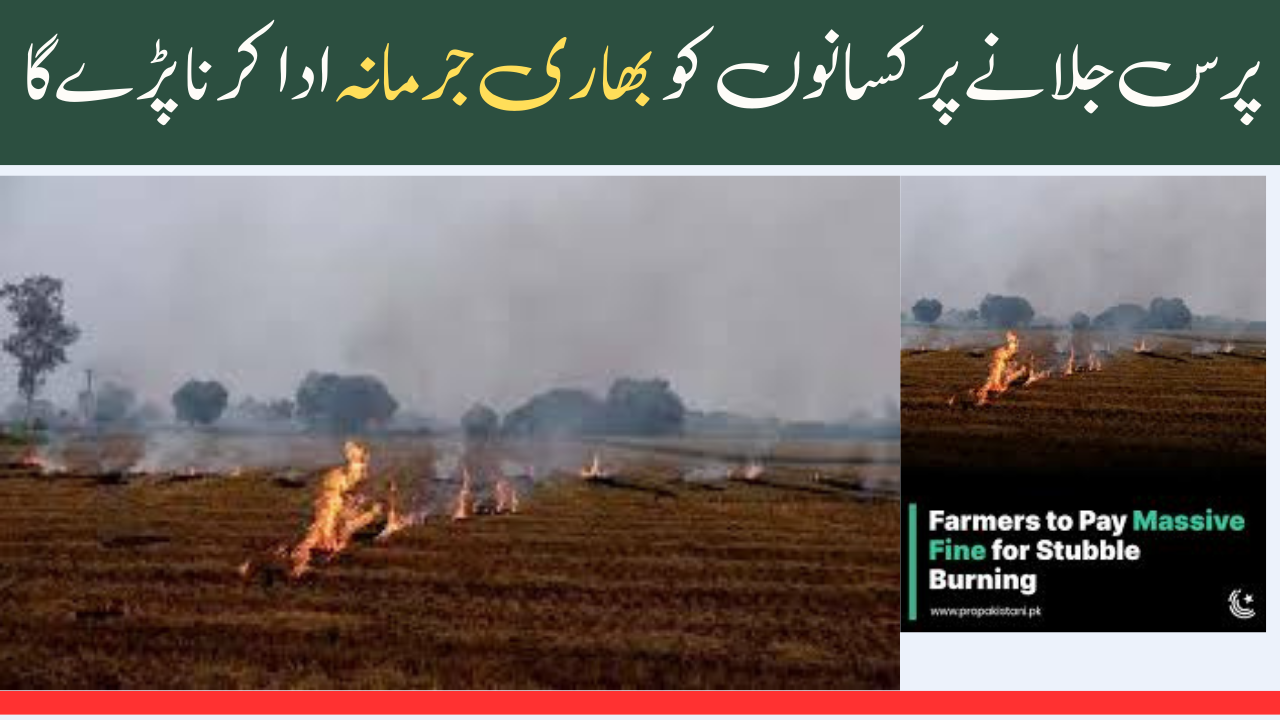 Farmers to Pay Massive Fine for Stubble Burning