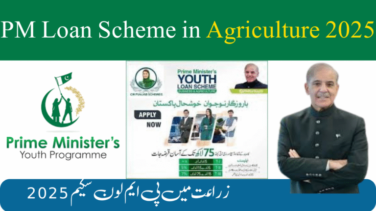 PM Loan Scheme in Agriculture 2025