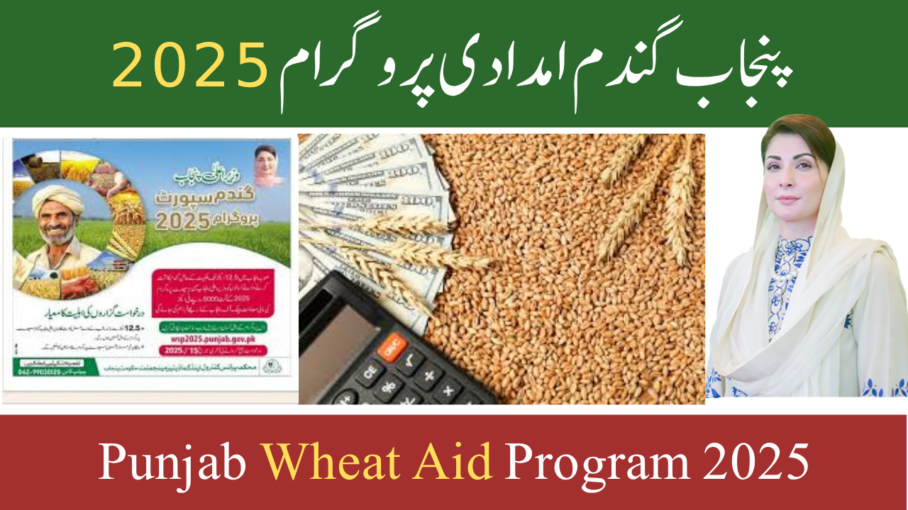 Punjab Wheat Aid Program 2025