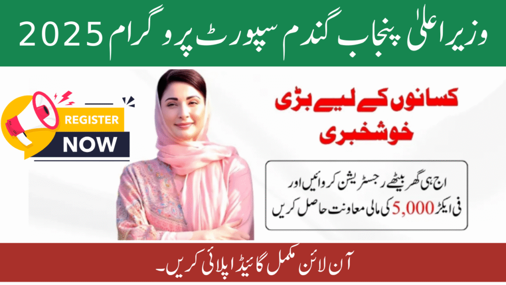CM Punjab Wheat Support Program 2025