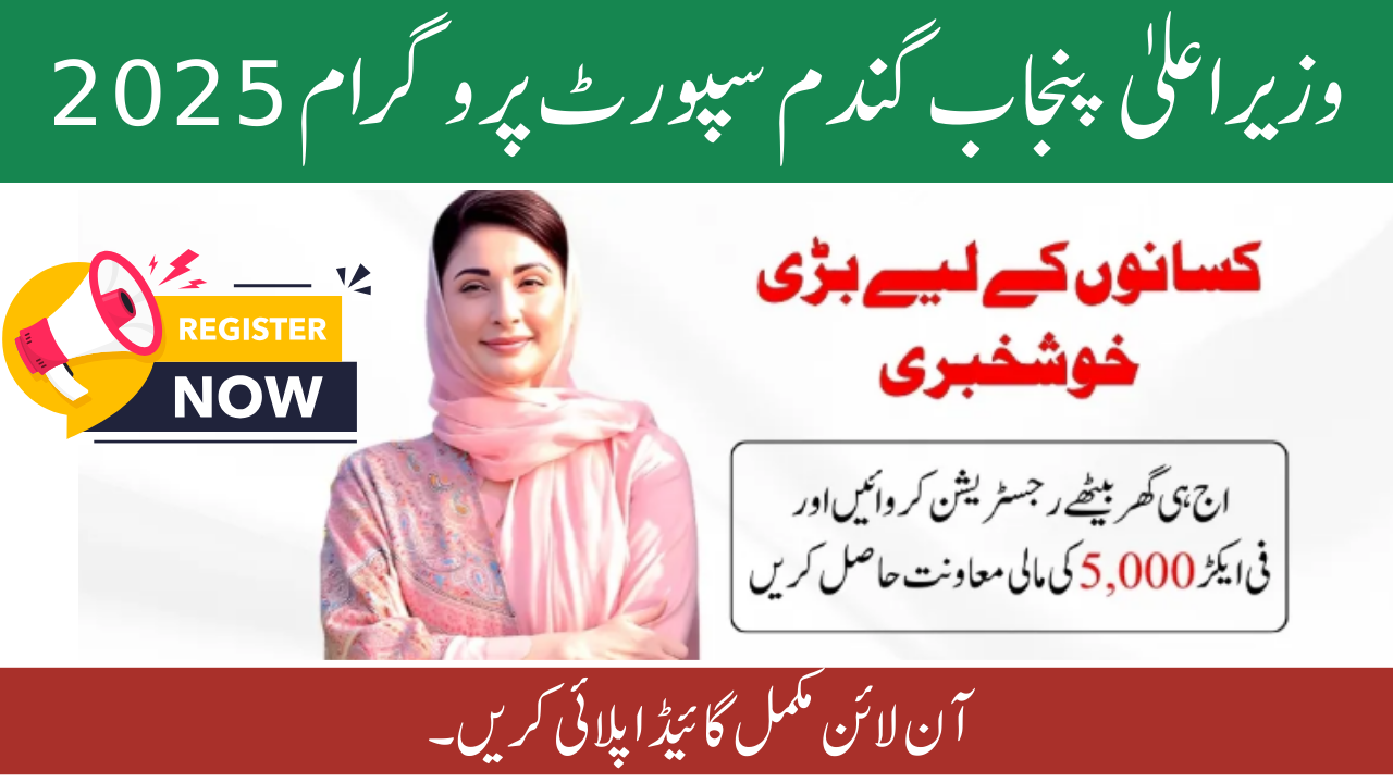 CM Punjab Wheat Support Program 2025