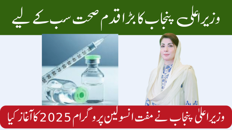 CM Punjab Launched Free Insulin Program 2025