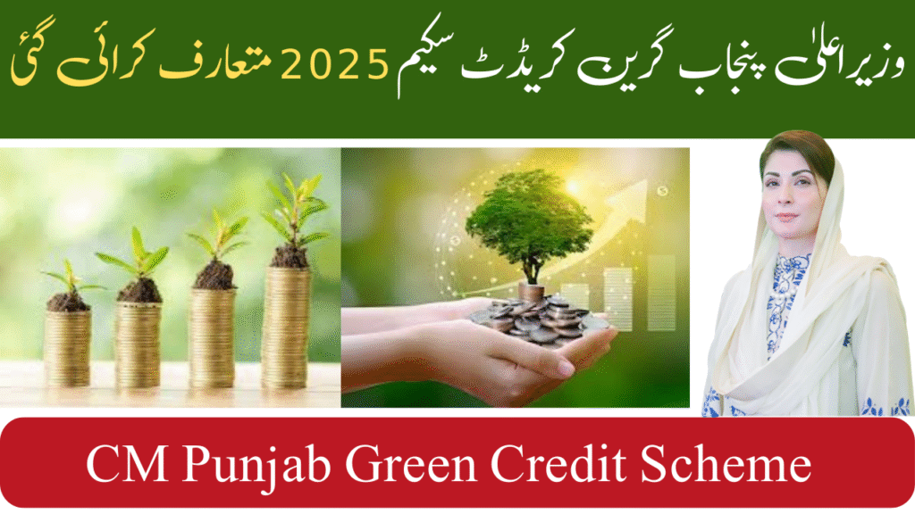 CM Punjab Green Credit Scheme