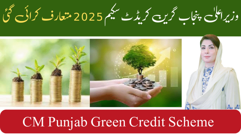CM Punjab Green Credit Scheme