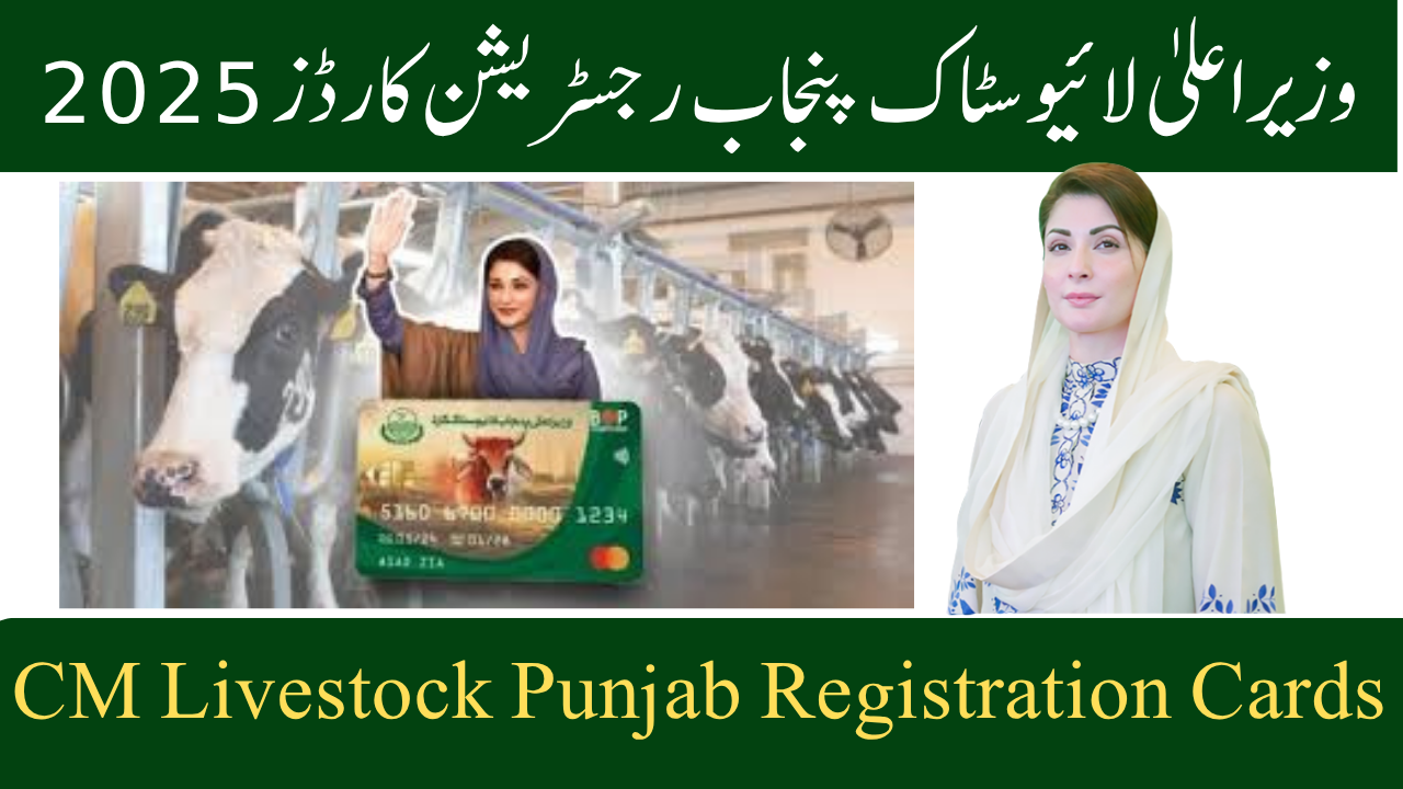 CM Livestock Punjab Registration Cards 2025