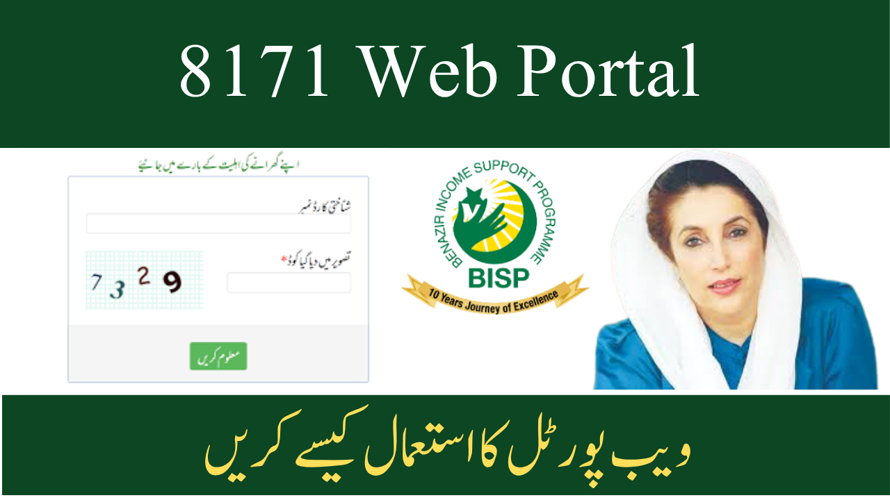 How to Use 8171 Web Portal