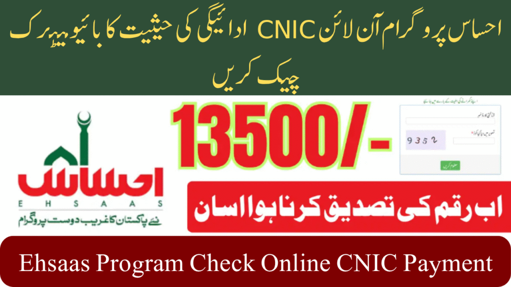 Ehsaas Program Check Online CNIC Payment