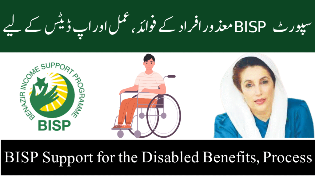 BISP Support for the Disabled Benefits