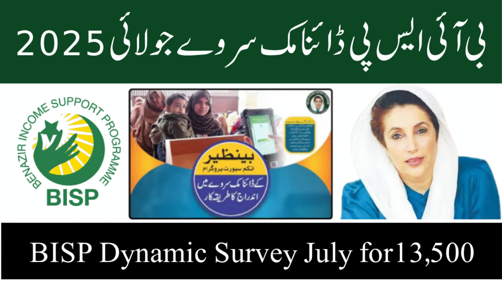 BISP Dynamic Survey July 2025