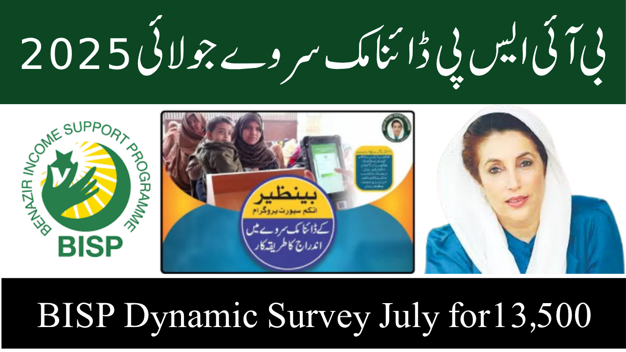 BISP Dynamic Survey July 2025