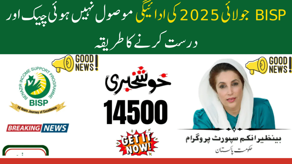 BISP July 2025 Payment Not Received