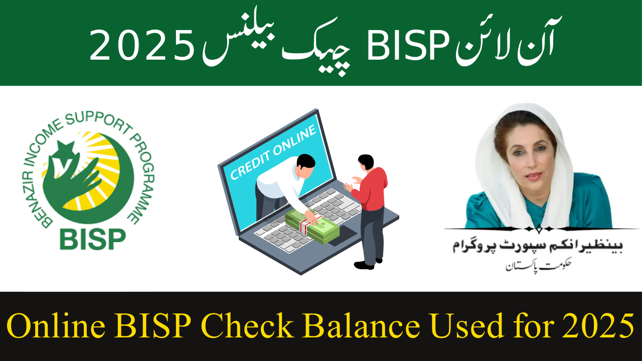 What Is the Online BISP Check Balance