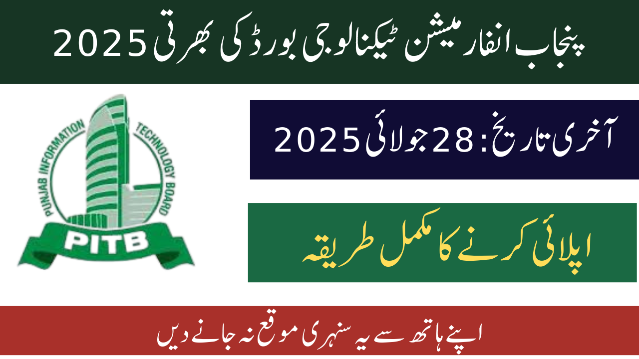 Punjab Information Technology Board Hiring 2025